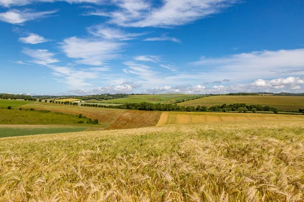Paesaggio Rurale Del Sussex Una Giornata Estiva Soleggiata — Foto Stock