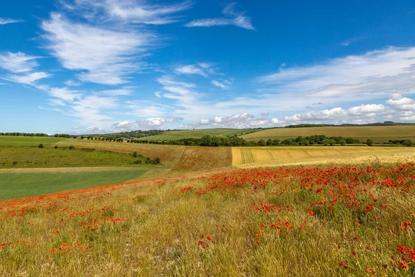 Looking Out Farmland Sussex Sunny Summers Day Poppy Field Foreground — Stock Photo, Image