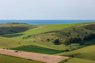Uzaktaki Sussex sahili ile Güney Tepeleri 'nin yuvarlanan manzarasına bakıyorum.