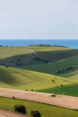 Uzaktaki Sussex sahili ile Güney Tepeleri 'nin yuvarlanan manzarasına bakıyorum.