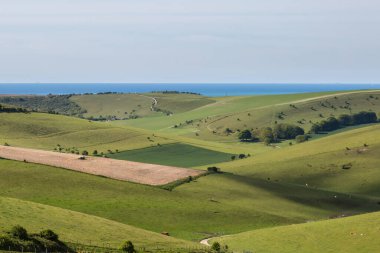 Uzaktaki Sussex sahili ile Güney Tepeleri 'nin yuvarlanan manzarasına bakıyorum.
