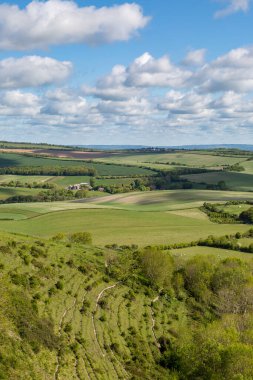 Kingston Ridge 'den yeşil Güney Tepeleri manzarasına bakıyorum.