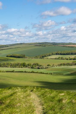 Kingston Ridge 'den yeşil Güney Tepeleri manzarasına bakıyorum.