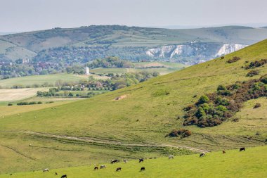 Güneşli bir bahar gününde Lewes 'e doğru Güney Tepeleri' ne bakıyorum.