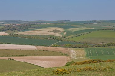 Güneşli bir bahar gününde Kırsal Güney Tepeleri manzarası