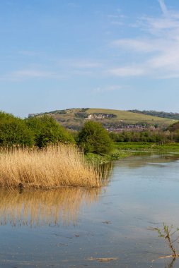 Güneşli bir bahar gününde Lewes yakınlarındaki Ouse Nehri 'ne bakıyorum.