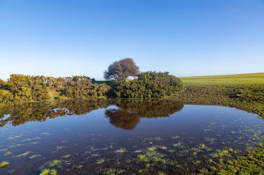 Güneşli bir kış gününde Kingston Tepesi yakınlarında bir Dew Pond.