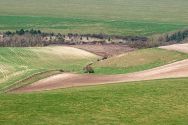 Tam bir çerçeve fotoğrafı güneşli bir kış gününde South Downs manzarasına bakıyor.
