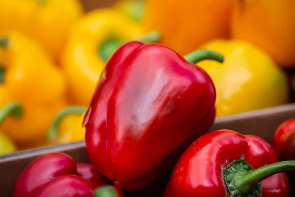 Colourful bell peppers for sale on a market stall, with a shallow depth of field
