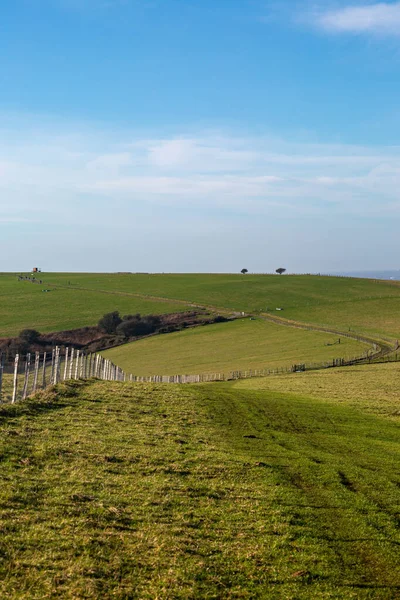 A view over the South Downs in Sussex, on a sunny day