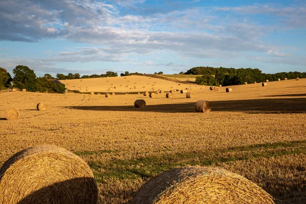 South Downs Landscape Harvest Time Hay Bales Field — Stock Photo, Image