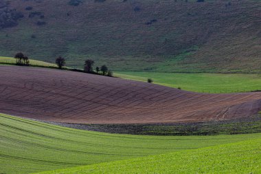 Kışın güney yamaçlarındaki tarlaların tam kare fotoğrafı.