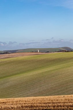 Güneşli bir kış gününde Güney Downs 'taki tarım arazilerine bakıyorum.
