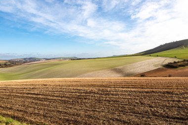 Güneşli bir kış gününde Güney Downs 'taki tarım arazilerine bakıyorum.