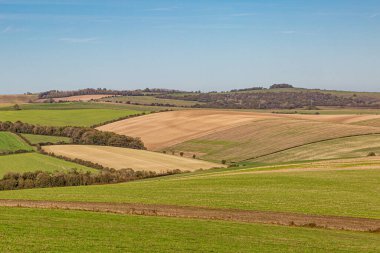 Güneşli bir günde, Sussex 'te güz yaması manzarası