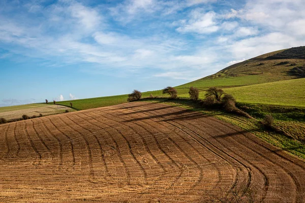 Ombres Arbres Projetées Sur Des Terres Agricoles Dans Sussex Par — Photo