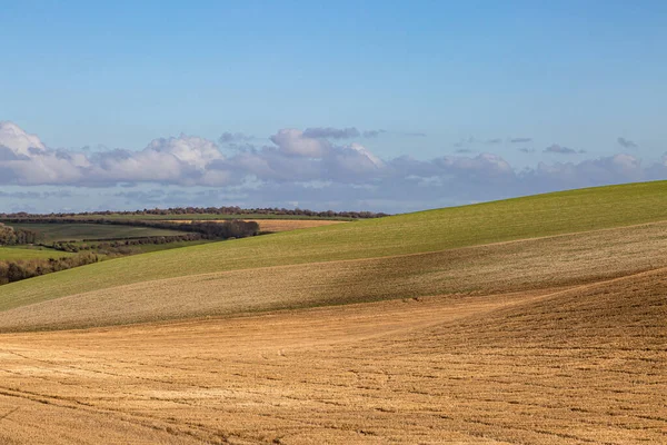 Blick Über Patchwork Felder Sussex Einem Sonnigen Wintertag — Stockfoto