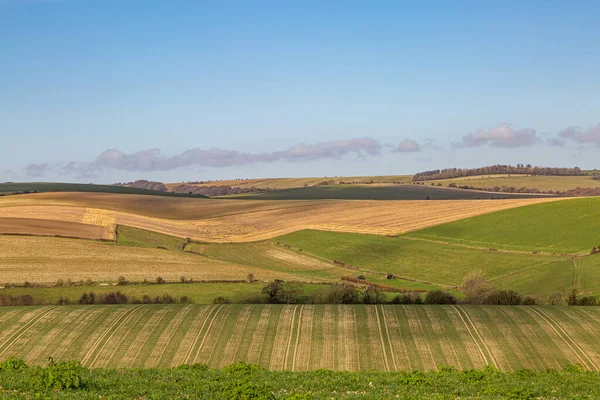 Vue Sur Les Champs Patchwork Dans Sussex Par Une Journée — Photo