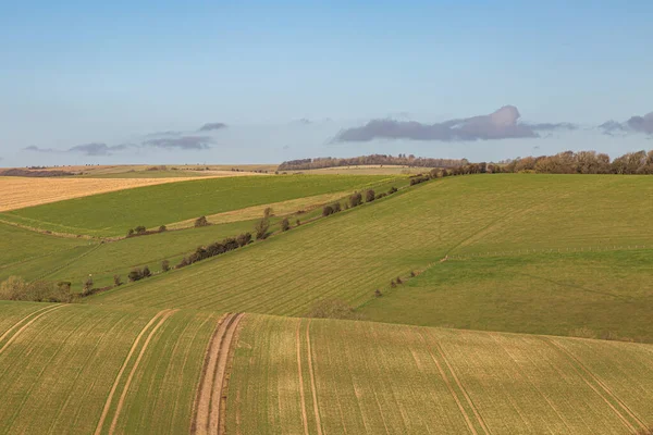 Rolling South Downs Landscape Sunny Winters Day — Stock Photo, Image