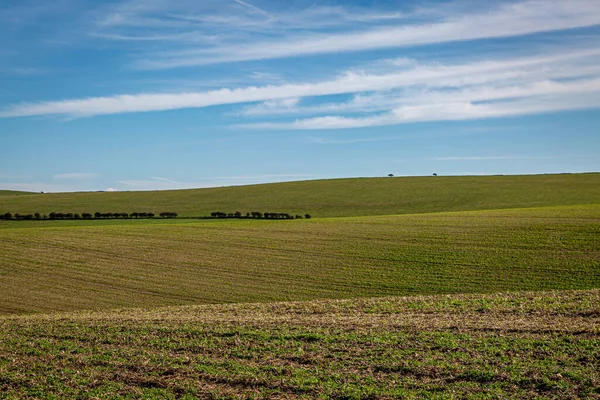 Eine Grüne Hügellandschaft Den South Downs — Stockfoto