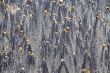 Çakıl taşlarından kumlu bir sahilde desenler