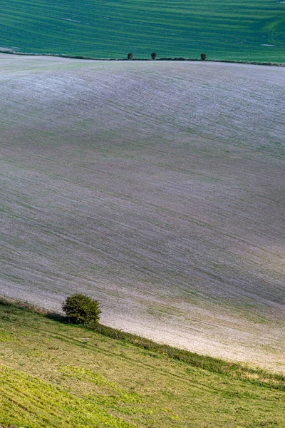 Regardant Vers Bas Sur Les Terres Agricoles Dans Les Downs — Photo