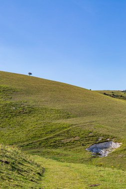 Tebeşir gibi güneydeki yeşil tepeler Güneşli bir günde