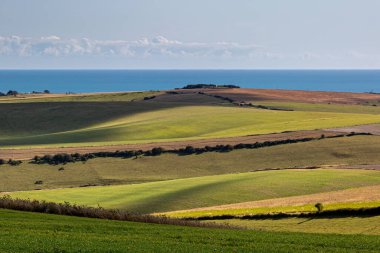 Güneş ışığı ve gölgeler Sussex 'in güney yamaçlarında, deniz arkada.