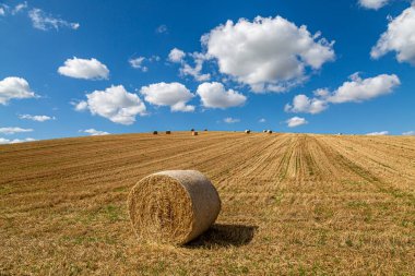 Güneşli bir yaz gününde Sussex kırsalında saman balyaları