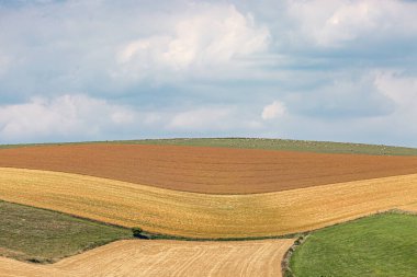 Sussex 'in güney yamaçlarında bir yaz manzarası