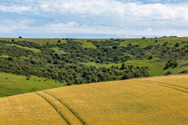 Bir Güney Düşüşleri Yaz Arazisi