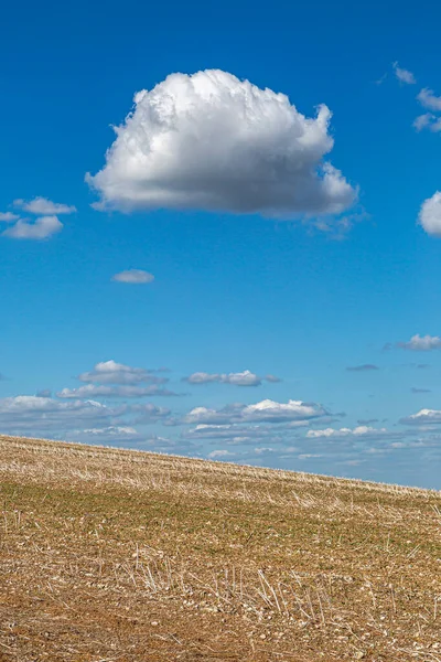 Ein Abgeerntetes Feld Sussex Einem Sonnigen Spätsommertag — Stockfoto