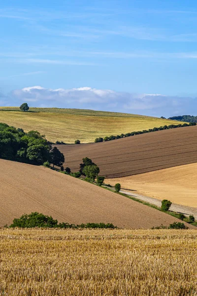 Güneşli bir yaz gününde huzurlu bir Sussex yamaca manzarası