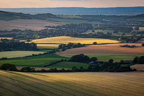 Firle Beacon 'dan Güney Tepeleri manzarasına bakıyorum.