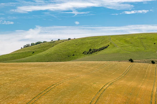 Güneşli bir yaz gününde güney yamaçlarındaki tepeler ve tarlalar