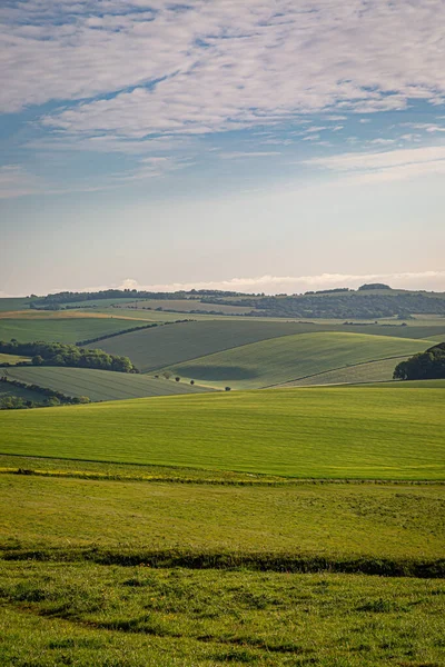 Campagne Vallonnée Dans Les South Downs Dans Sussex Avec Lumière — Photo