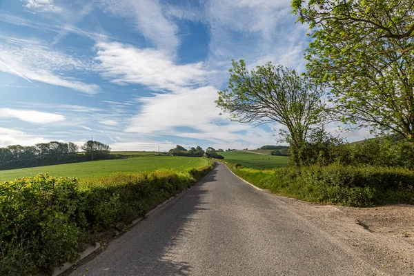 Road Sussex Countryside Sunny Late Spring Day — Stock Photo, Image