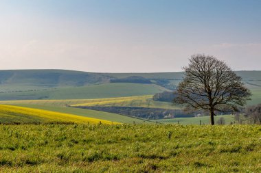 Güneşli bir bahar sabahında, cennet gibi bir güney manzarası.