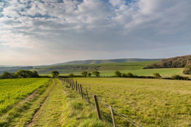 Sussex 'in güney yamaçlarında güneşli bir bahar sabahı