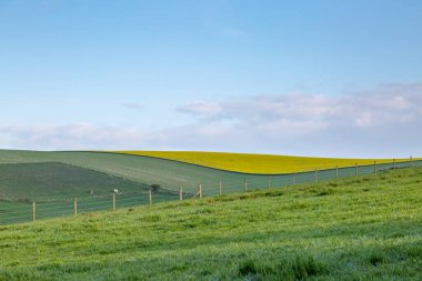 Sussex 'in güneyindeki tarlalar güneşli bir bahar gününde