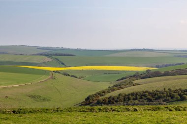 Güneşli bir bahar gününde Sussex 'te Idyllic South Downs manzarası