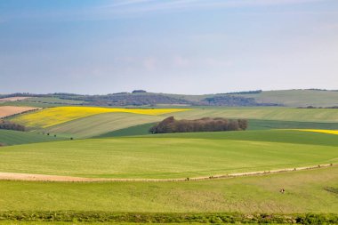 Güneşli bir bahar gününde Sussex 'te Idyllic South Downs manzarası