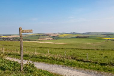 Güneşli bir bahar gününde, Sussex 'in güneyindeki tarlalar boyunca uzanan bir patika.