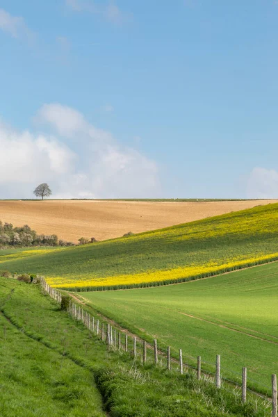 Ackerland Den South Downs Sussex Einem Sonnigen Frühlingstag — Stockfoto