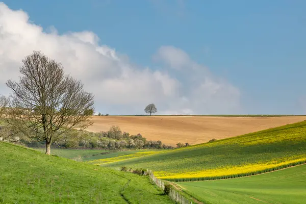 Idyllic South Downs Landscape Sunny Spring Day — Stock Photo, Image