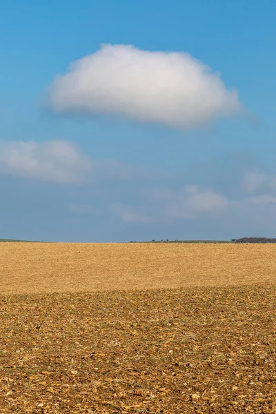 Gepflügte Felder Der Landschaft Von Sussex Mit Blauem Himmel — Stockfoto