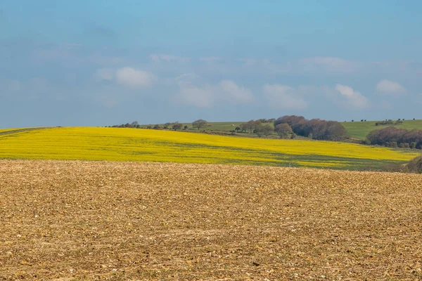 Uma Paisagem Fazenda Sussex Uma Manhã Primavera Ensolarada — Fotografia de Stock