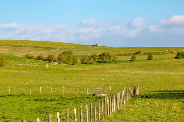 Campi Verdi Nel Sussex Una Soleggiata Mattina Primavera — Foto Stock