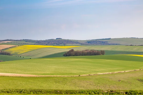 Idyllic South Downs Landscape Sussex Sunny Spring Day — Stock Photo, Image