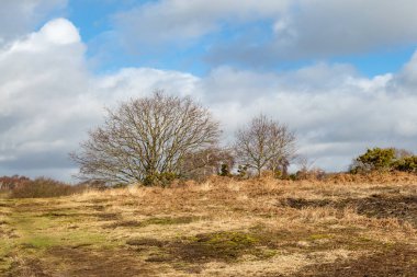 Sussex 'te kış günü Chailey Common' dan bir manzara